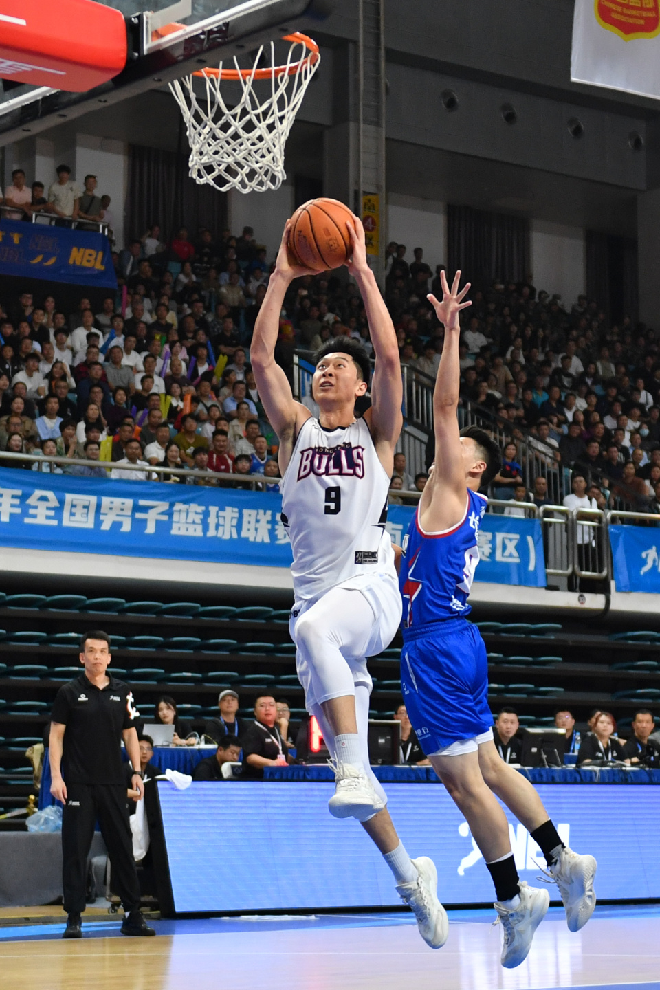 xD, NBL, 香港金牛队