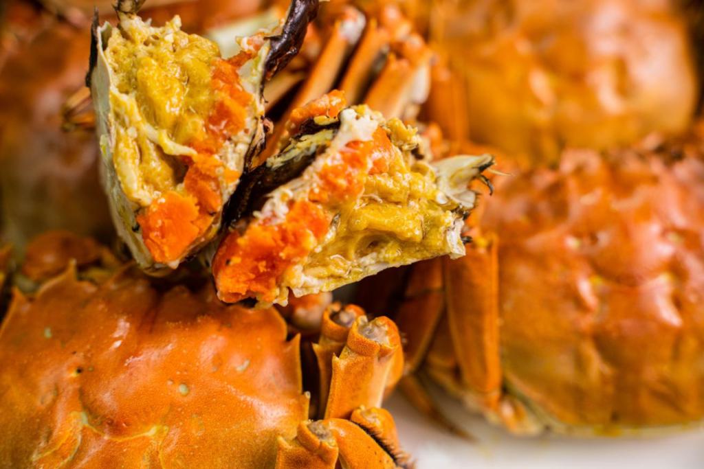 yid, 论经验丰富 yid, 论经验丰富